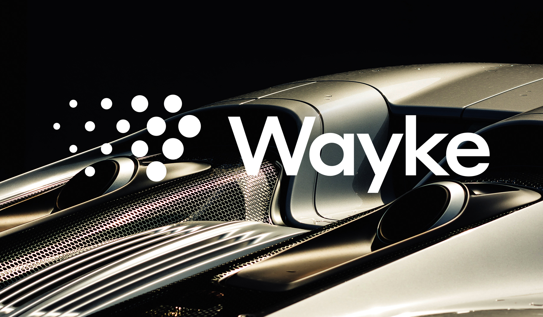 Wayke [film]